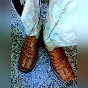 Men's 7D Gator Boots From Cavenders Some Scuff Marks on Front No Holes or Tares